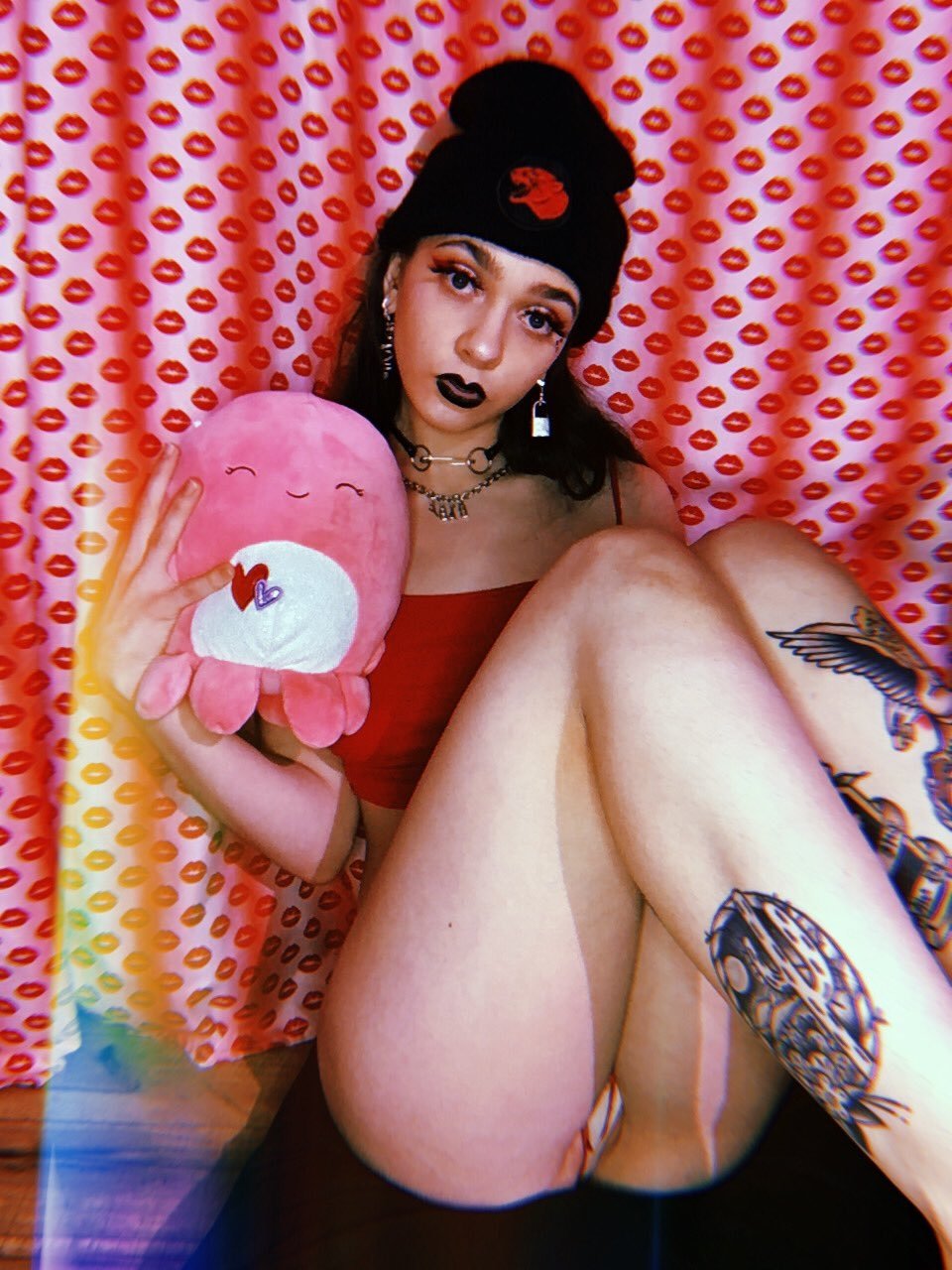 SexEdFan de Côtes-d'Armor, France